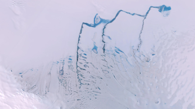 Pooled meltwater and slush on the Nivlisen Ice Shelf. Contains modified Copernicus Sentinel data (2020), processed by Rebecca Dell