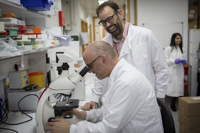 Professor Adrian Liston with members of his team in his laboratory