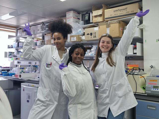 Female scientists in Professor Adrian Liston's team